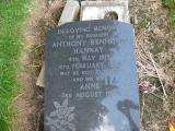 image of grave number 920154